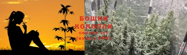 стаф Горно-Алтайск