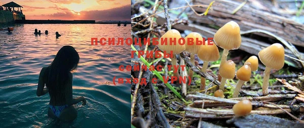 таблы Горняк
