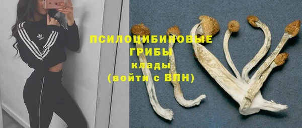 стаф Горно-Алтайск