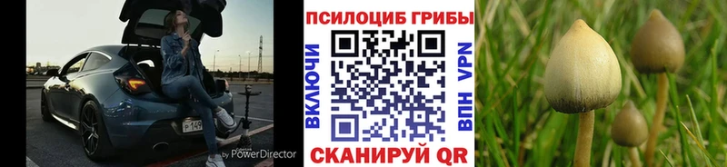 Купить закладки  Нарткала  Псилоцибиновые грибы ЛСД 